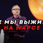 Елена Новикова про активного зрителя, прожарку и Поперечного / Интервью