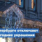 Даша Серенко: Илья Соболев, Николай Соболев, нарисованные голуби и феминизм